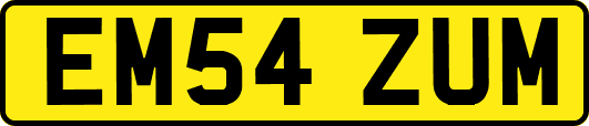 EM54ZUM