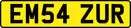 EM54ZUR