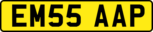 EM55AAP