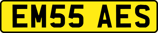 EM55AES