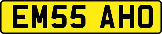 EM55AHO