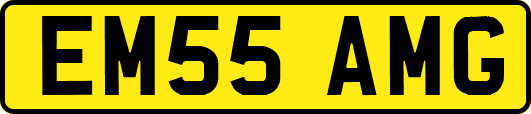 EM55AMG