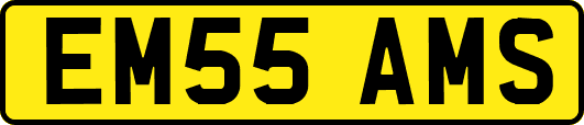 EM55AMS