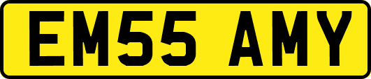 EM55AMY