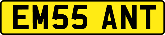 EM55ANT