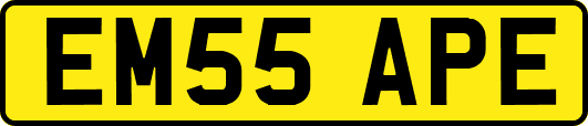 EM55APE
