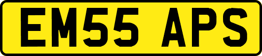 EM55APS