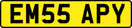 EM55APY