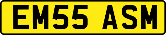 EM55ASM