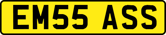 EM55ASS
