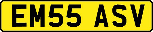EM55ASV