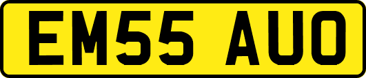 EM55AUO