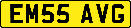 EM55AVG