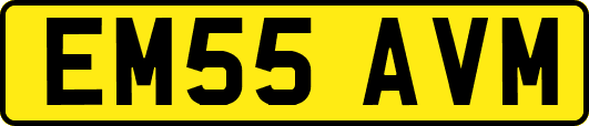 EM55AVM