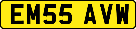 EM55AVW