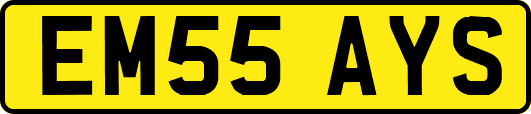 EM55AYS