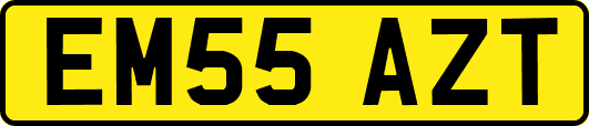 EM55AZT