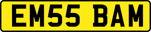 EM55BAM