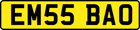 EM55BAO