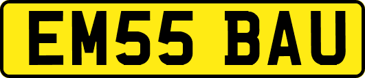 EM55BAU