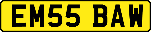 EM55BAW