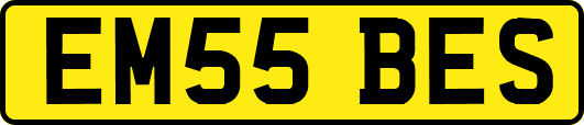EM55BES