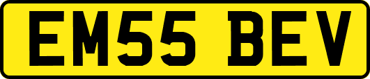 EM55BEV
