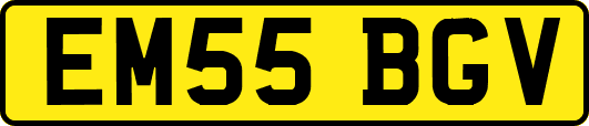 EM55BGV