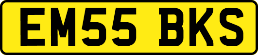 EM55BKS