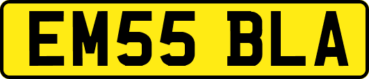 EM55BLA
