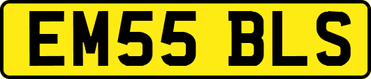EM55BLS