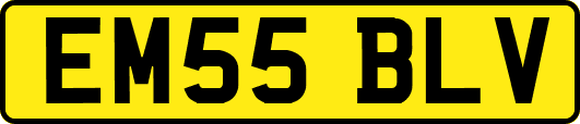 EM55BLV