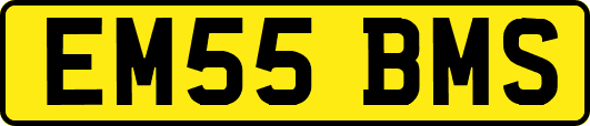 EM55BMS