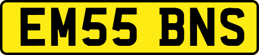 EM55BNS