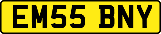 EM55BNY