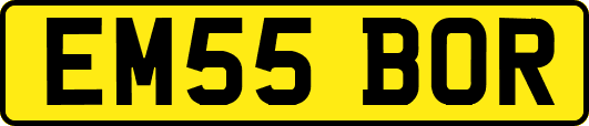 EM55BOR