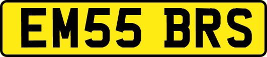 EM55BRS