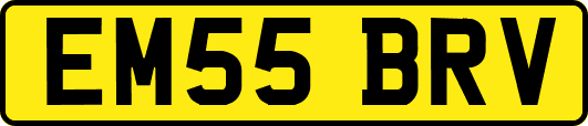 EM55BRV