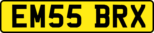 EM55BRX