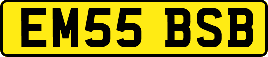EM55BSB