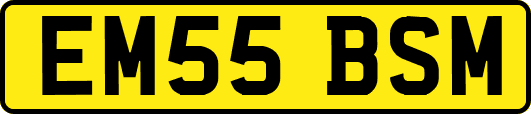 EM55BSM