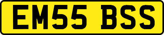 EM55BSS