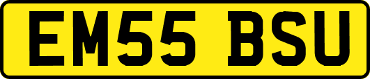 EM55BSU