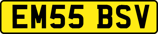EM55BSV