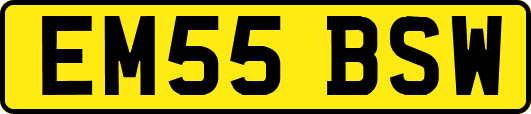 EM55BSW