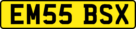 EM55BSX