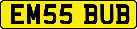 EM55BUB