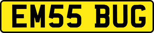 EM55BUG
