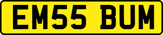 EM55BUM