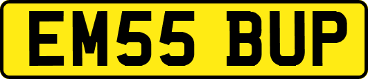 EM55BUP